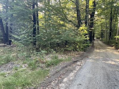 10445 W Woodrow Road