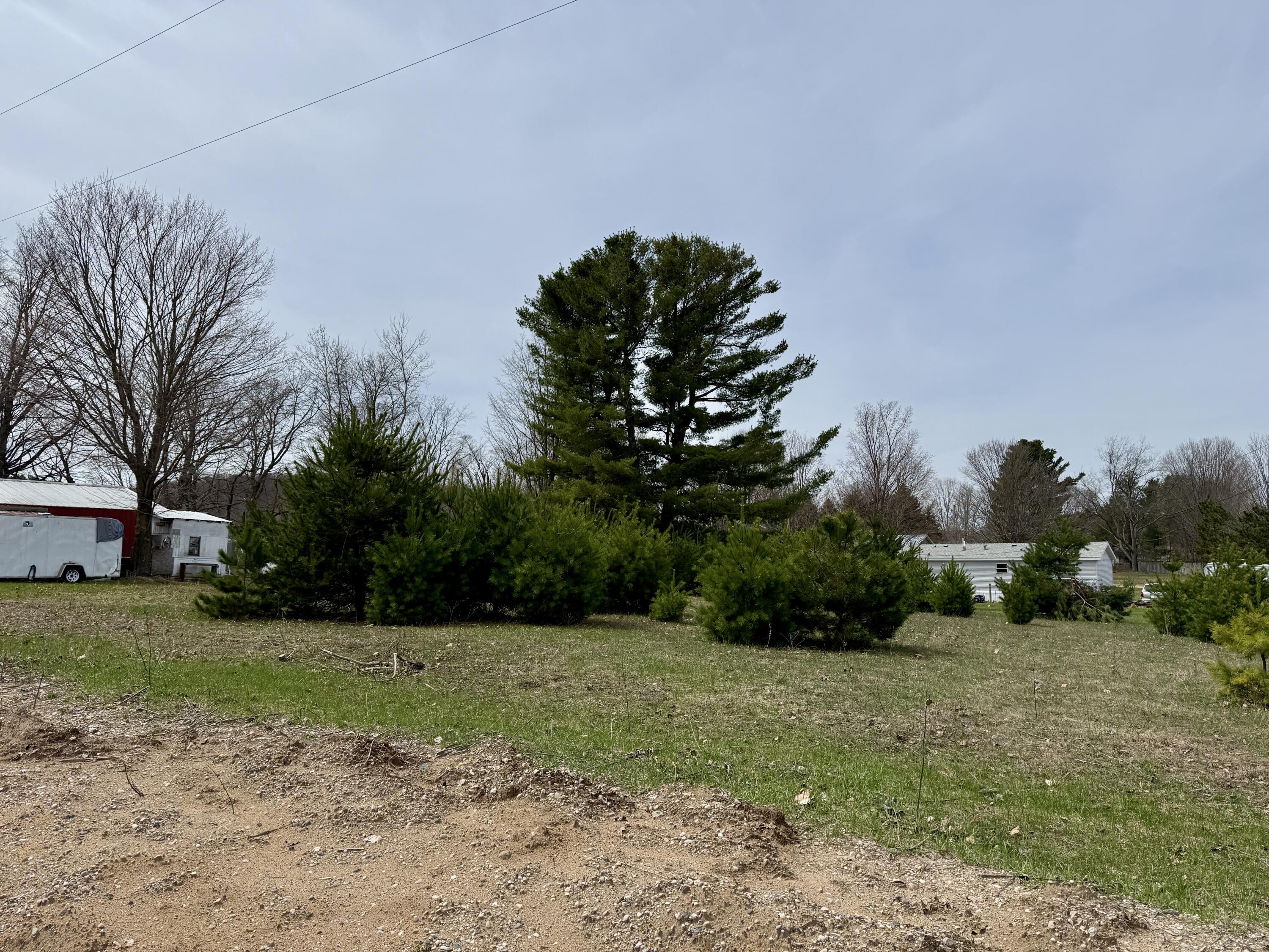 Image 3: IMG_2072