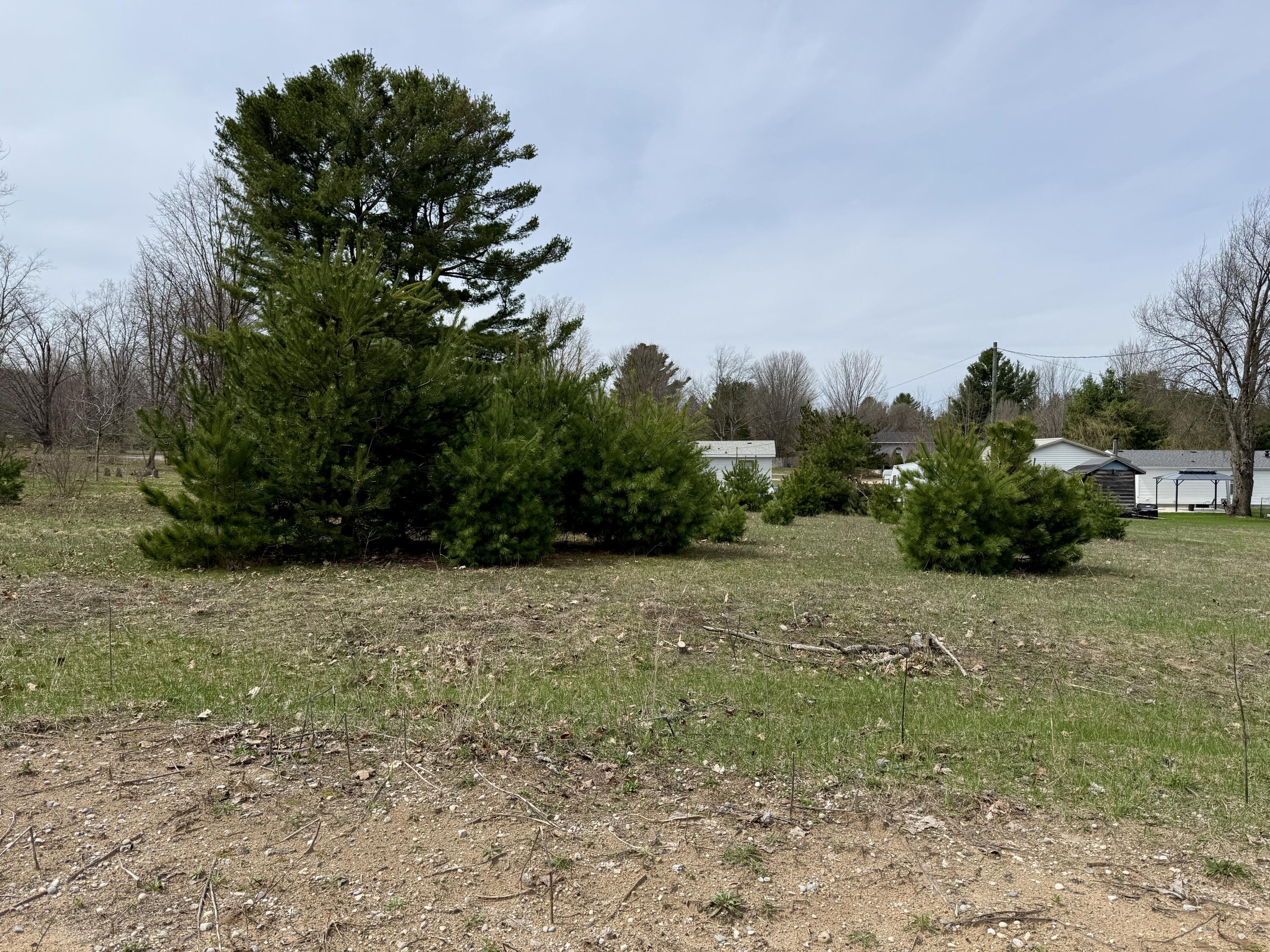 Image 4: IMG_2073