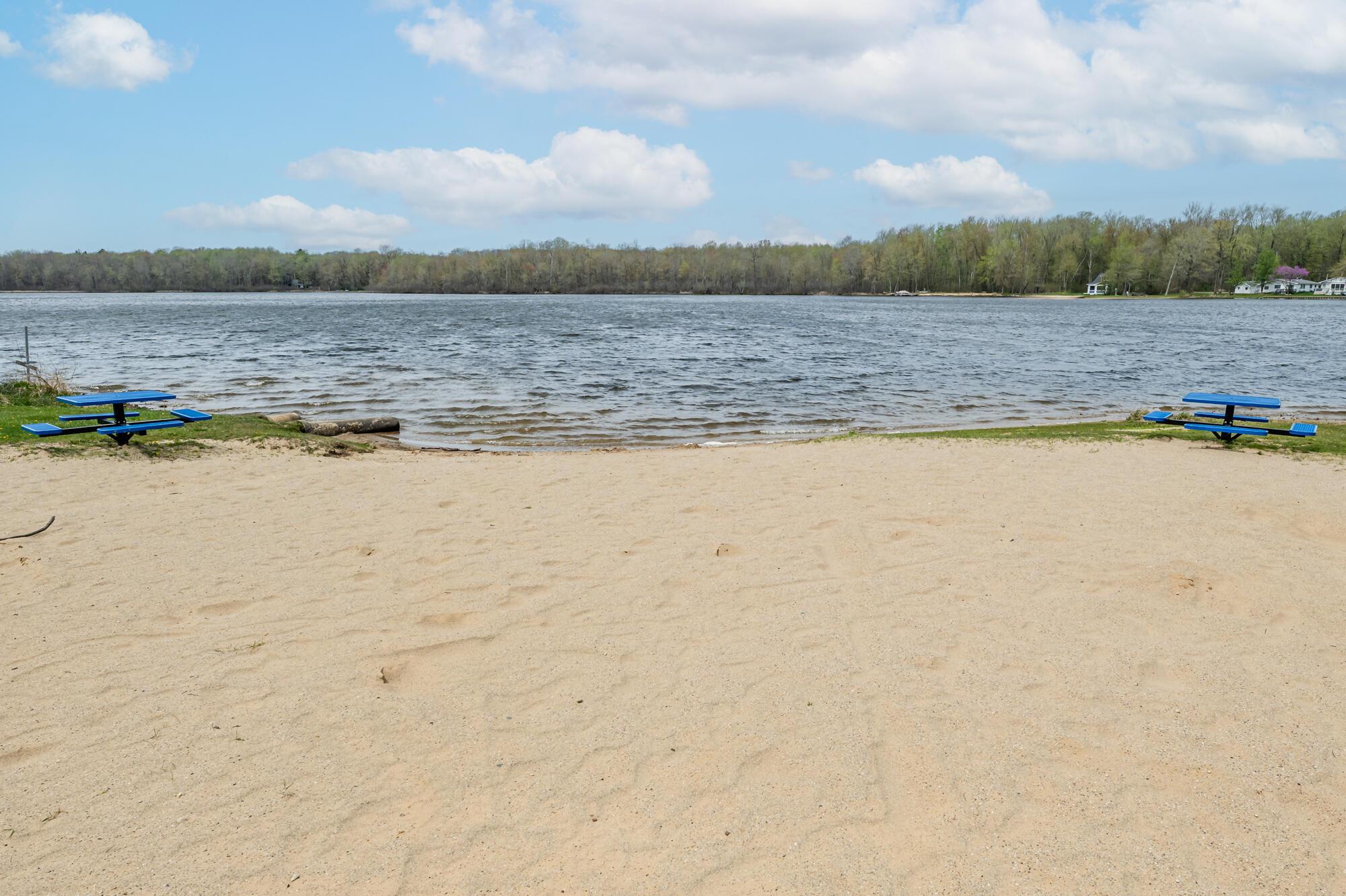 Image 2: Sylvester-128