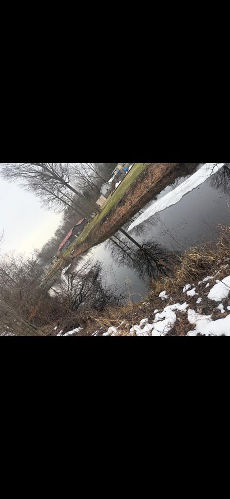 Image 4: IMG_1470 (1) E Shr Dr 1