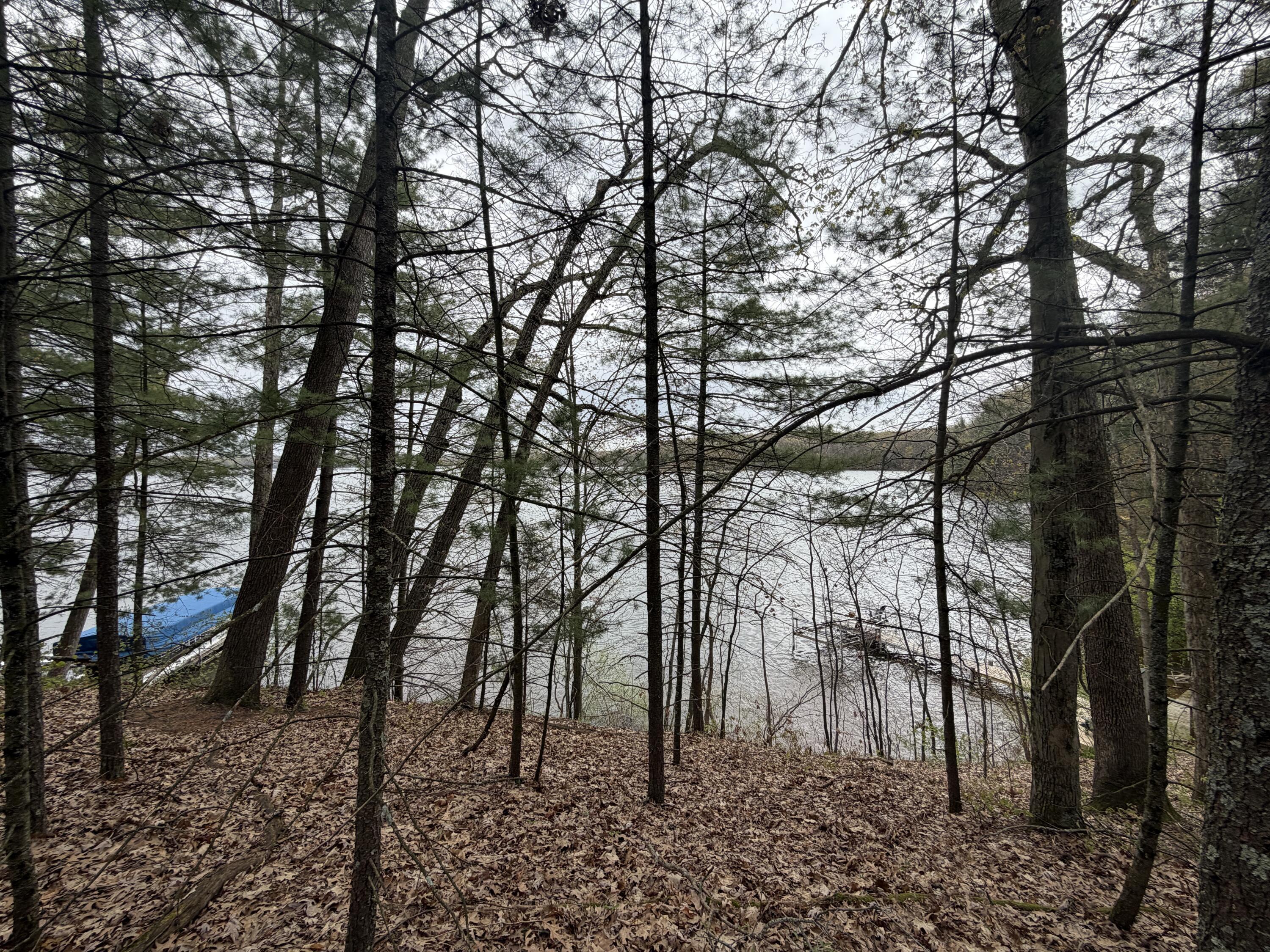 Image 1: wildwoodpic16