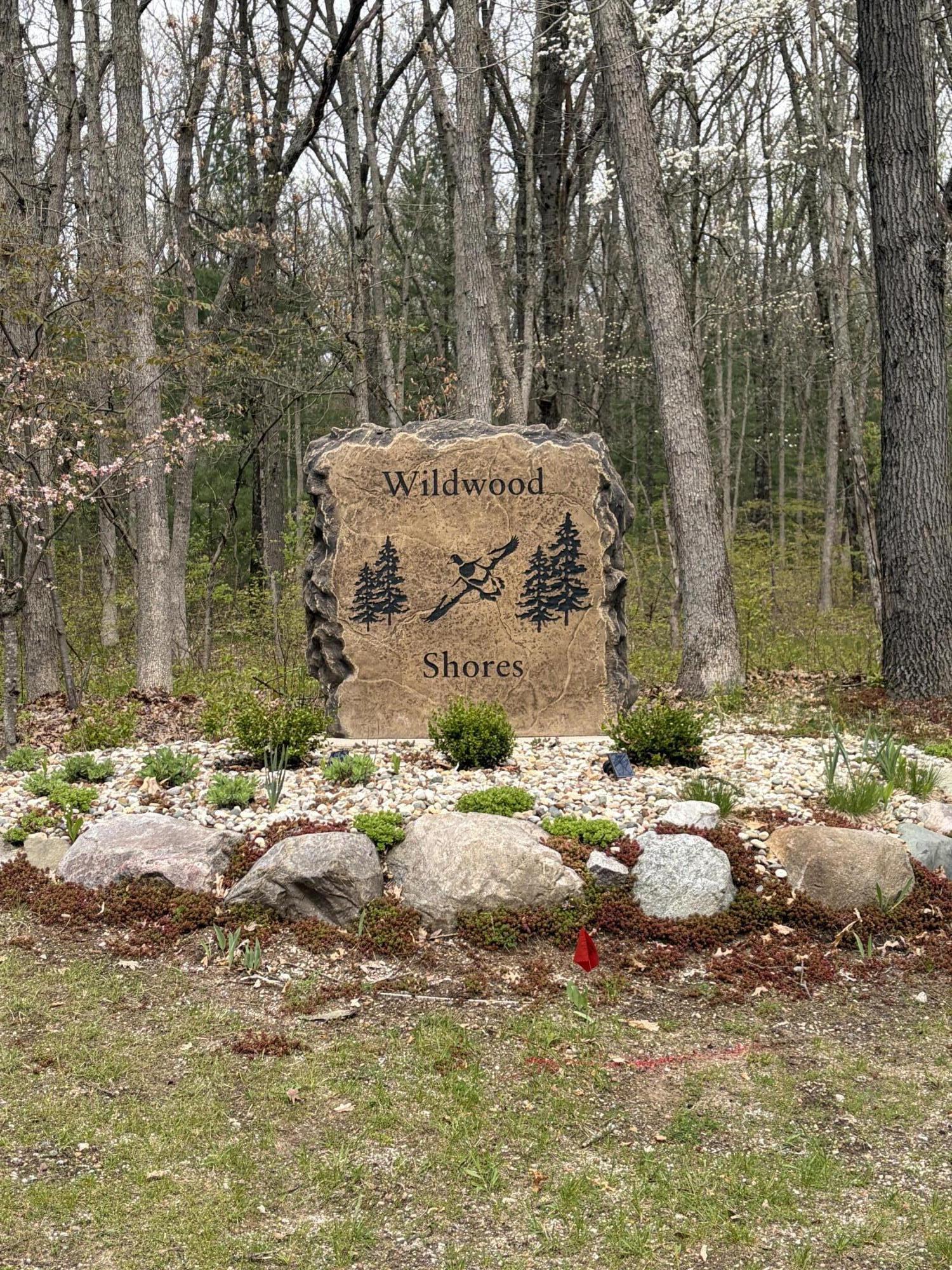 Image 2: Wildwood pic1