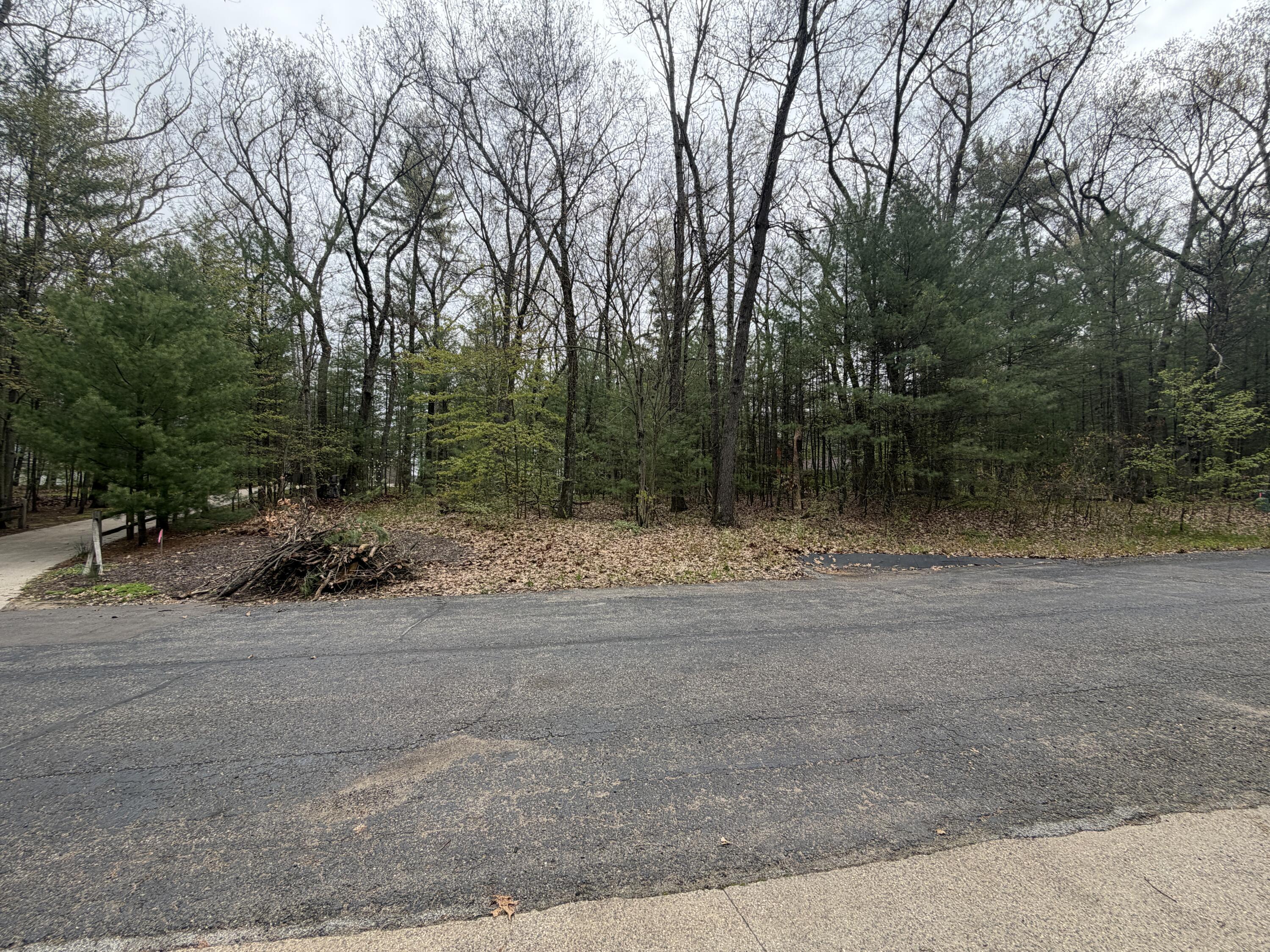 Image 4: wildwood pic11
