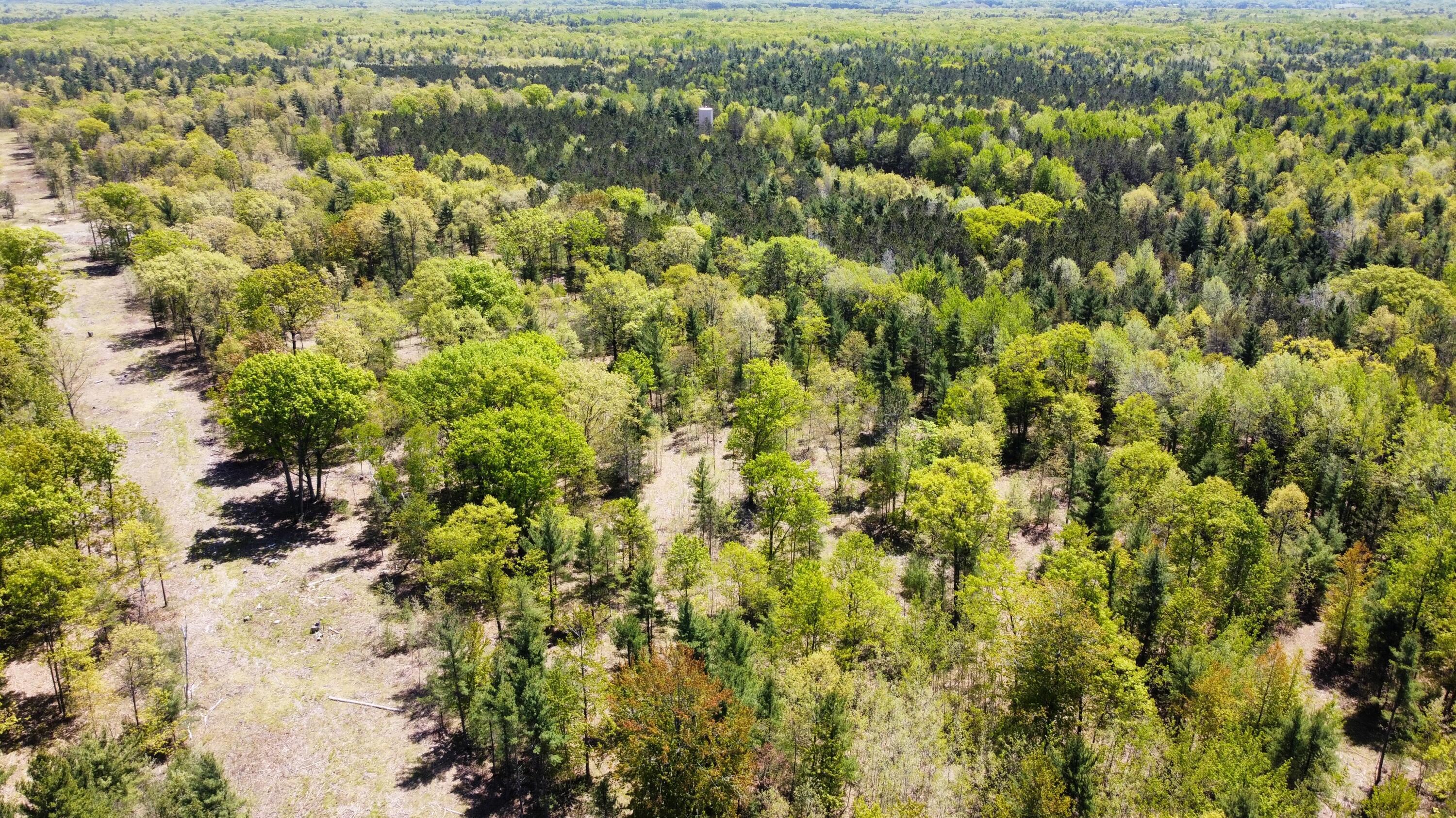 Image 1: dji_fly_20230526_131742_144_168512181849
