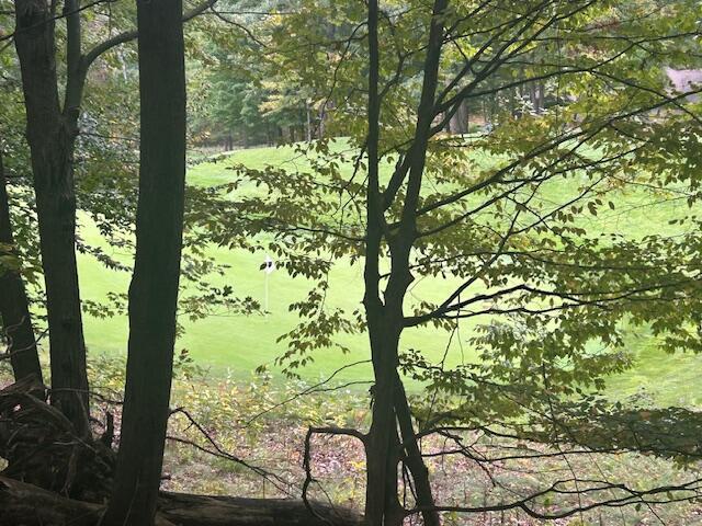 Image 2: IMG_1258 (2)