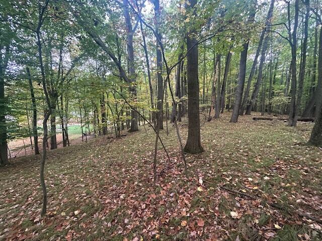 Image 3: IMG_1261 (1)