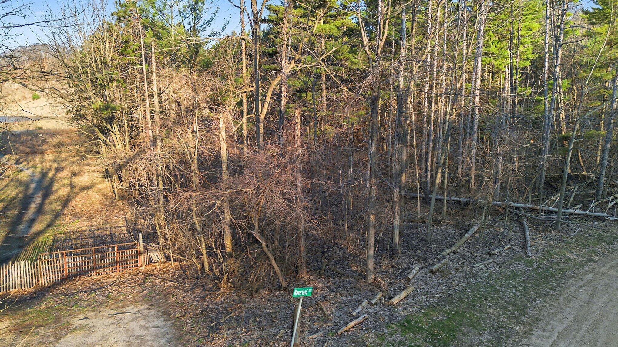 Image 4: 006_file_8767