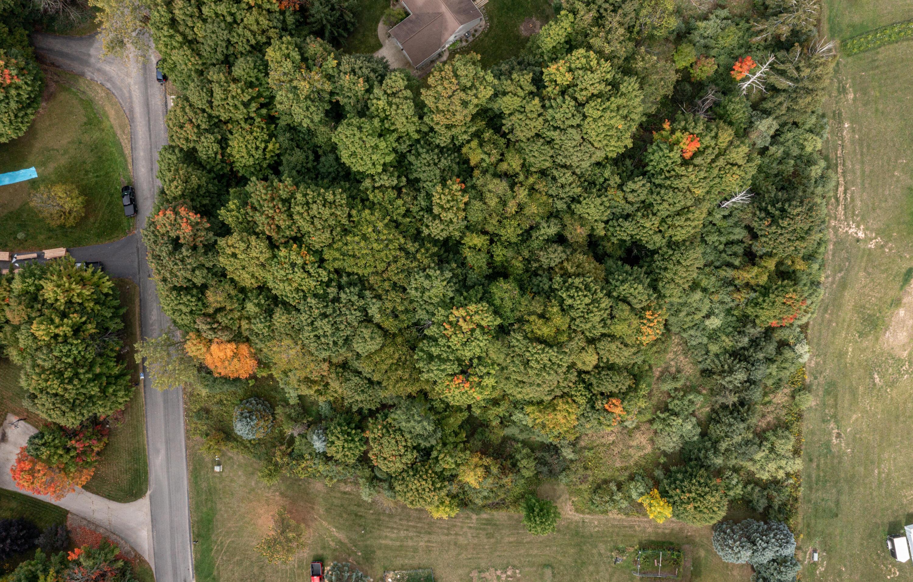 Image 3: DJI_0049
