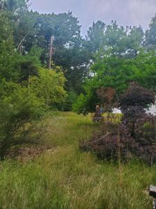6829 S Lakeshore