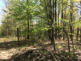 W Basswood BL 41 LOT 13&14 Street