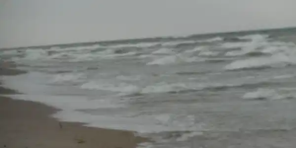 2859 Timber Dunes
