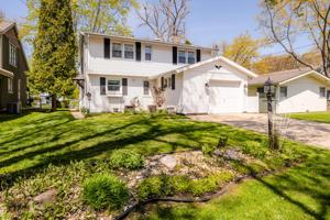 4992 Maple