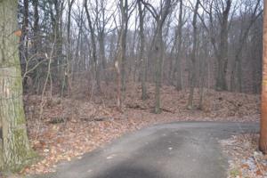 7171 Waverland Path