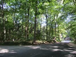 0 Sassafras Drive