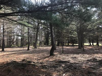 lot 1 Creekwood Drive