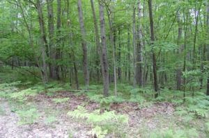 12030 Hudson Bay Road