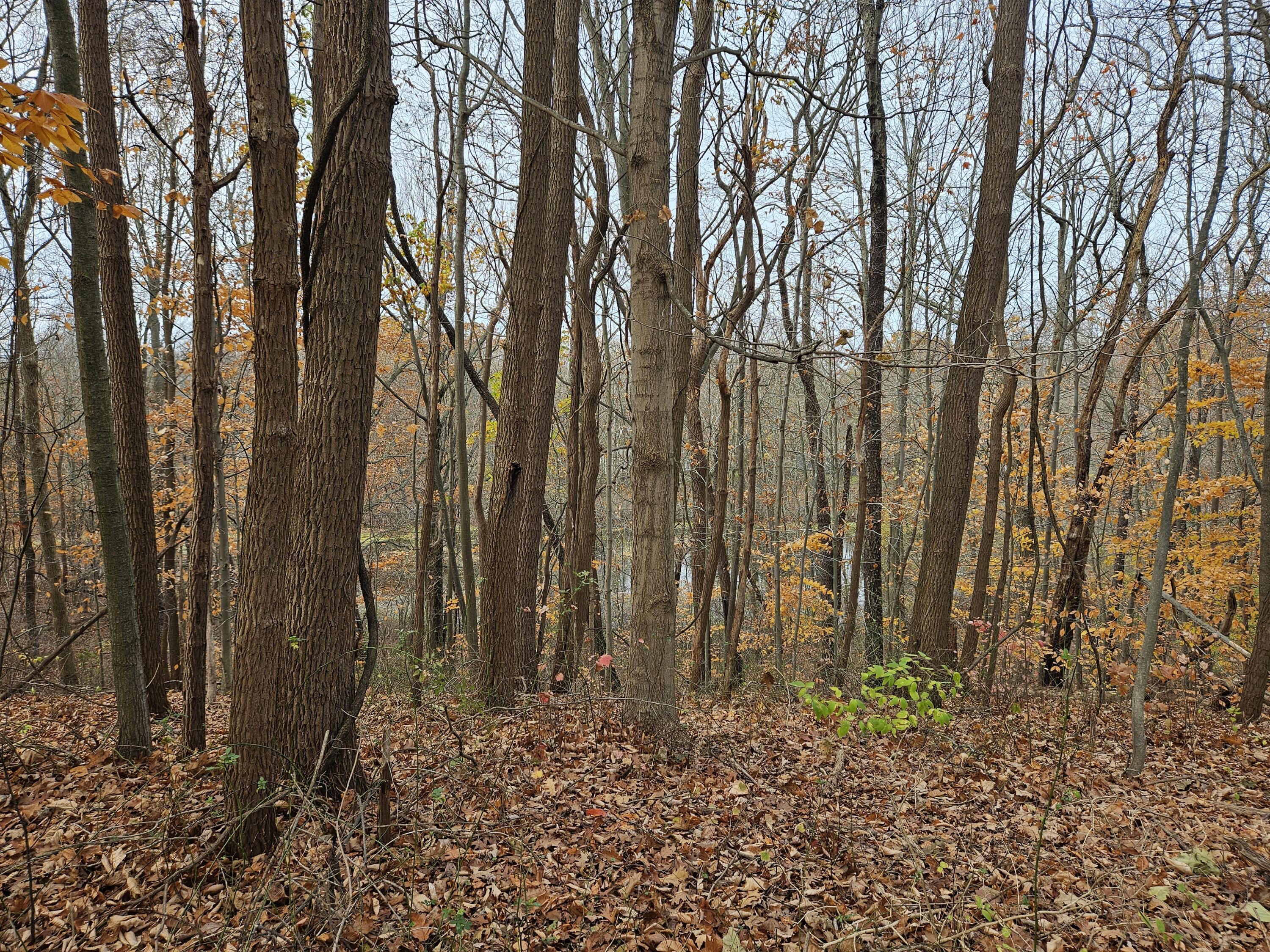 Image 4: 20241113_133212