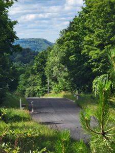 Maxey Road