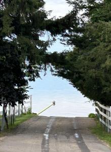 Maple Avenue