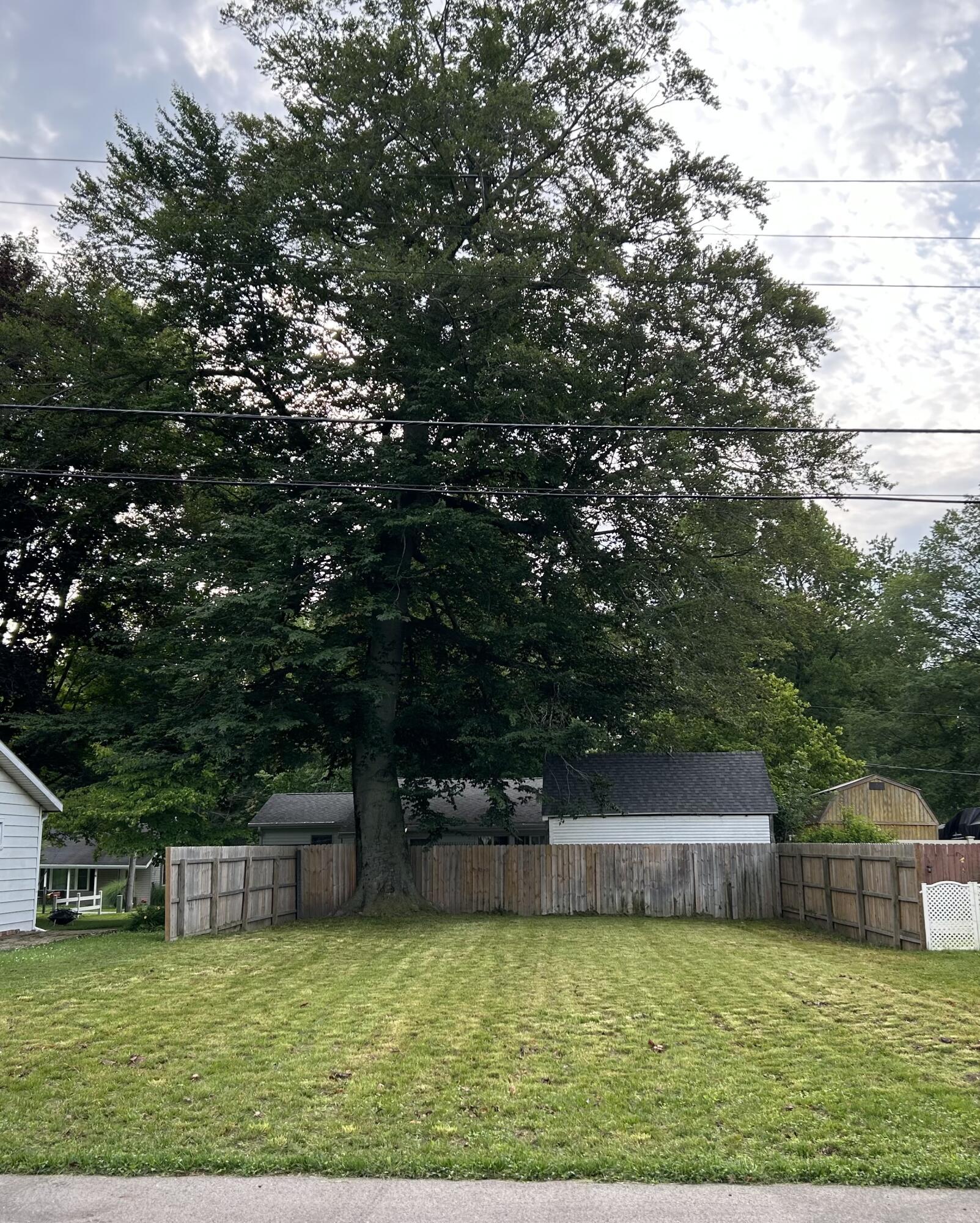 Image 2: property