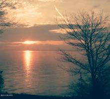 6376 Lakeshore Road
