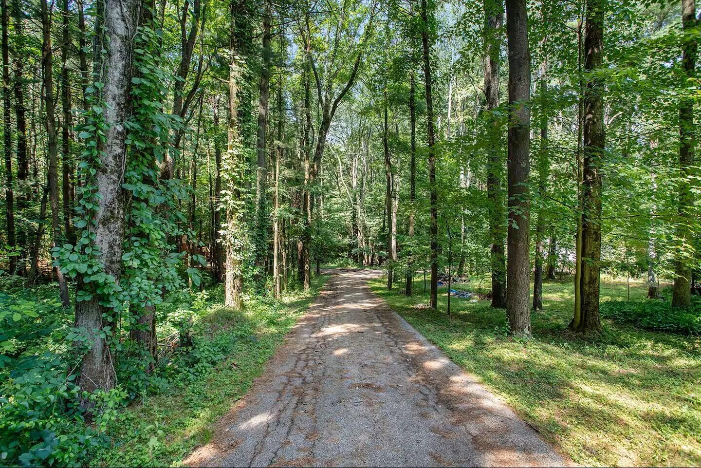 Image 4: 1ef6c47c-3020-42bd-b708-aa44e7ee214c