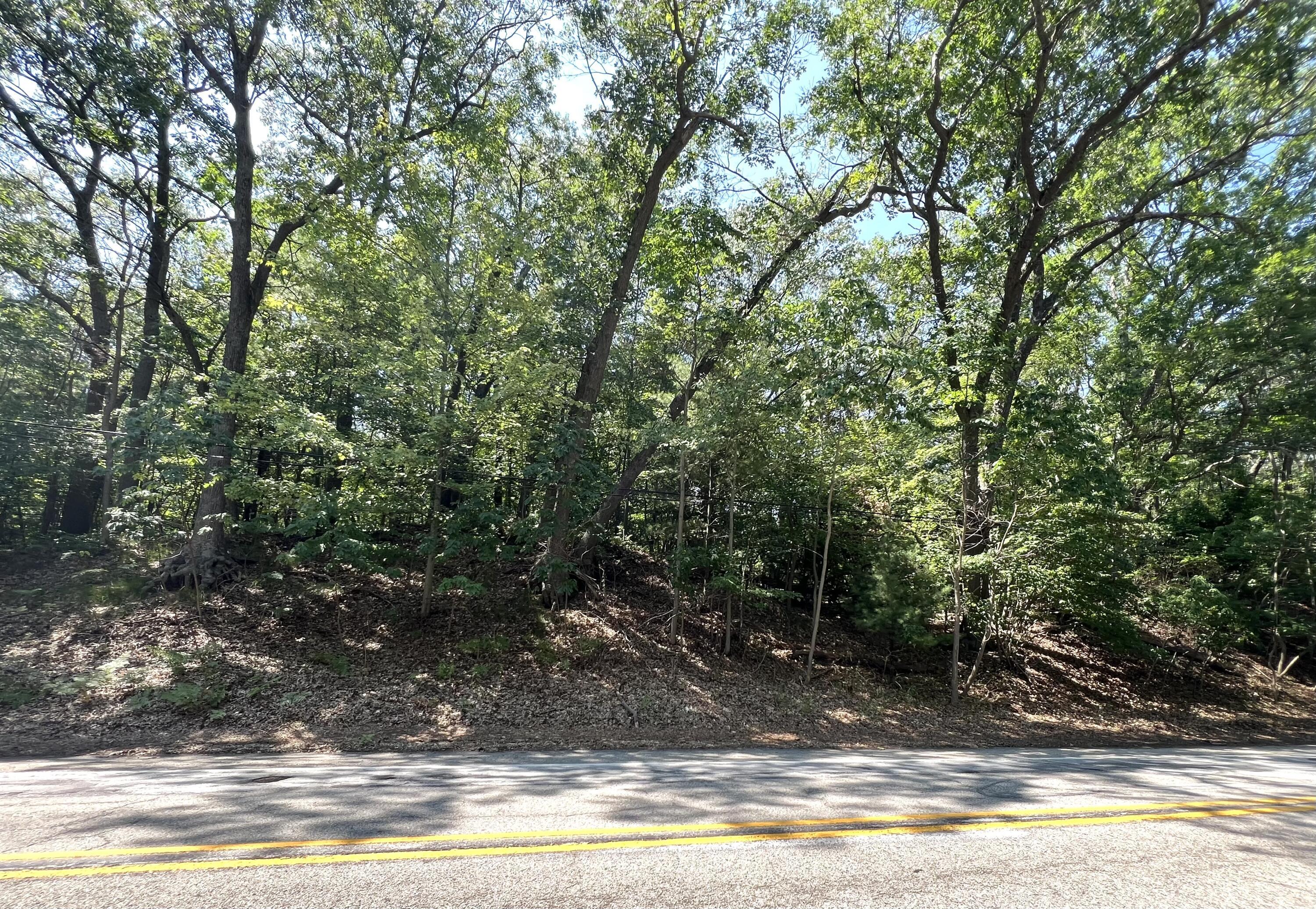 Image 1: Black Lake Rd.