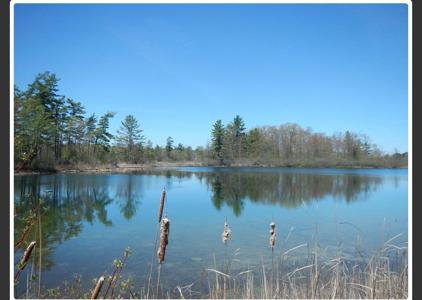 10345 Morgan Mills Avenue NE