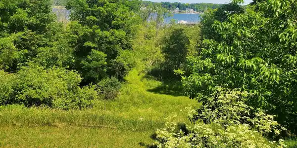 Lot 2 Old Channel Trail