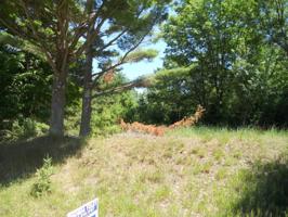 10940 Old Freesoil Road