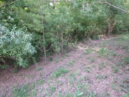 Old Freesoil Road