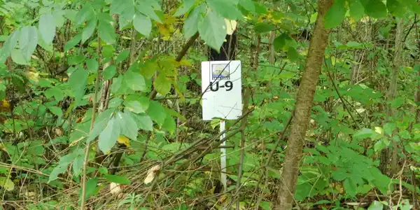Unit 9 Long Lake Road