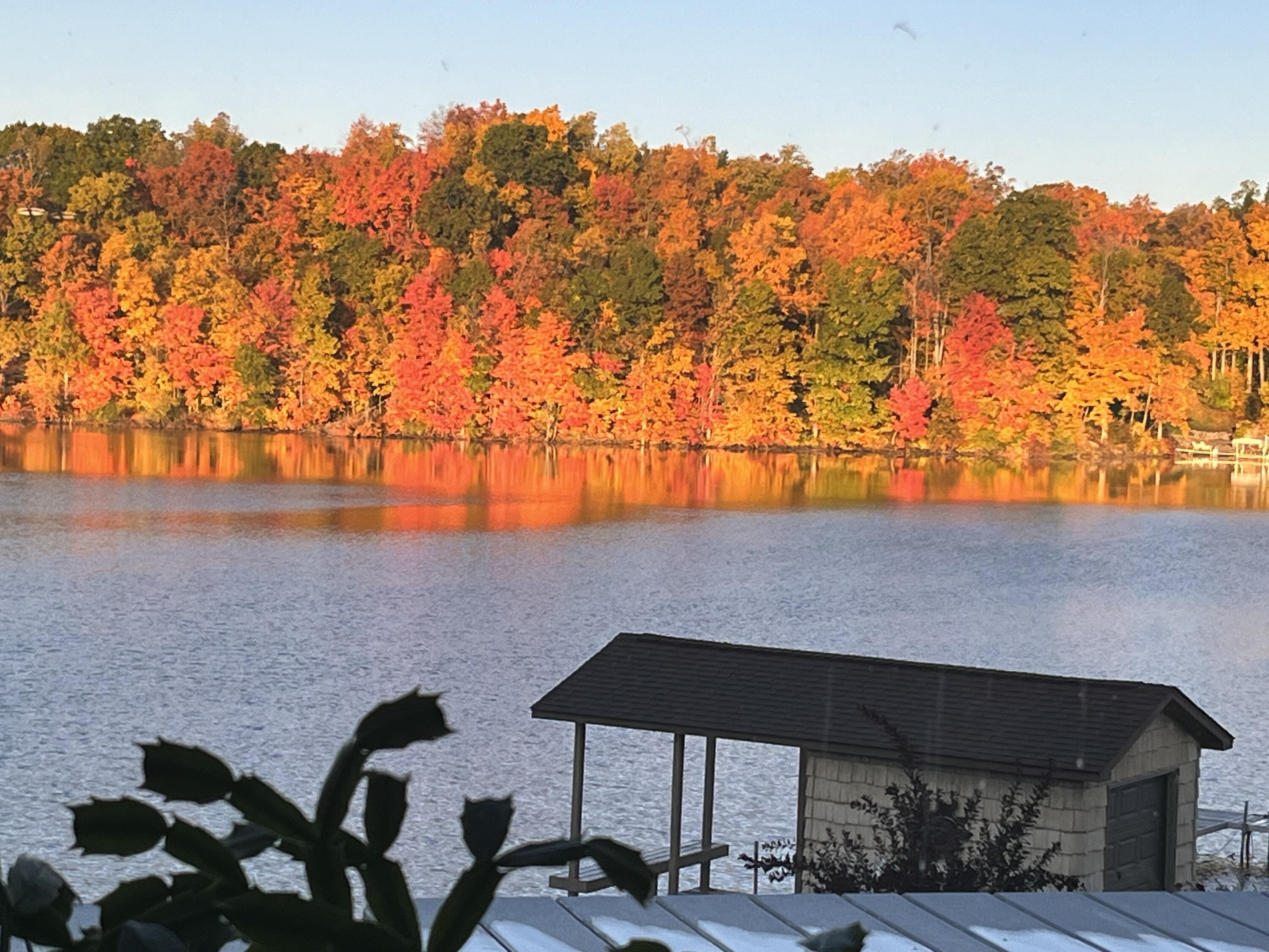 Image 3: IMG_6040 14600 W Diane dr. 4