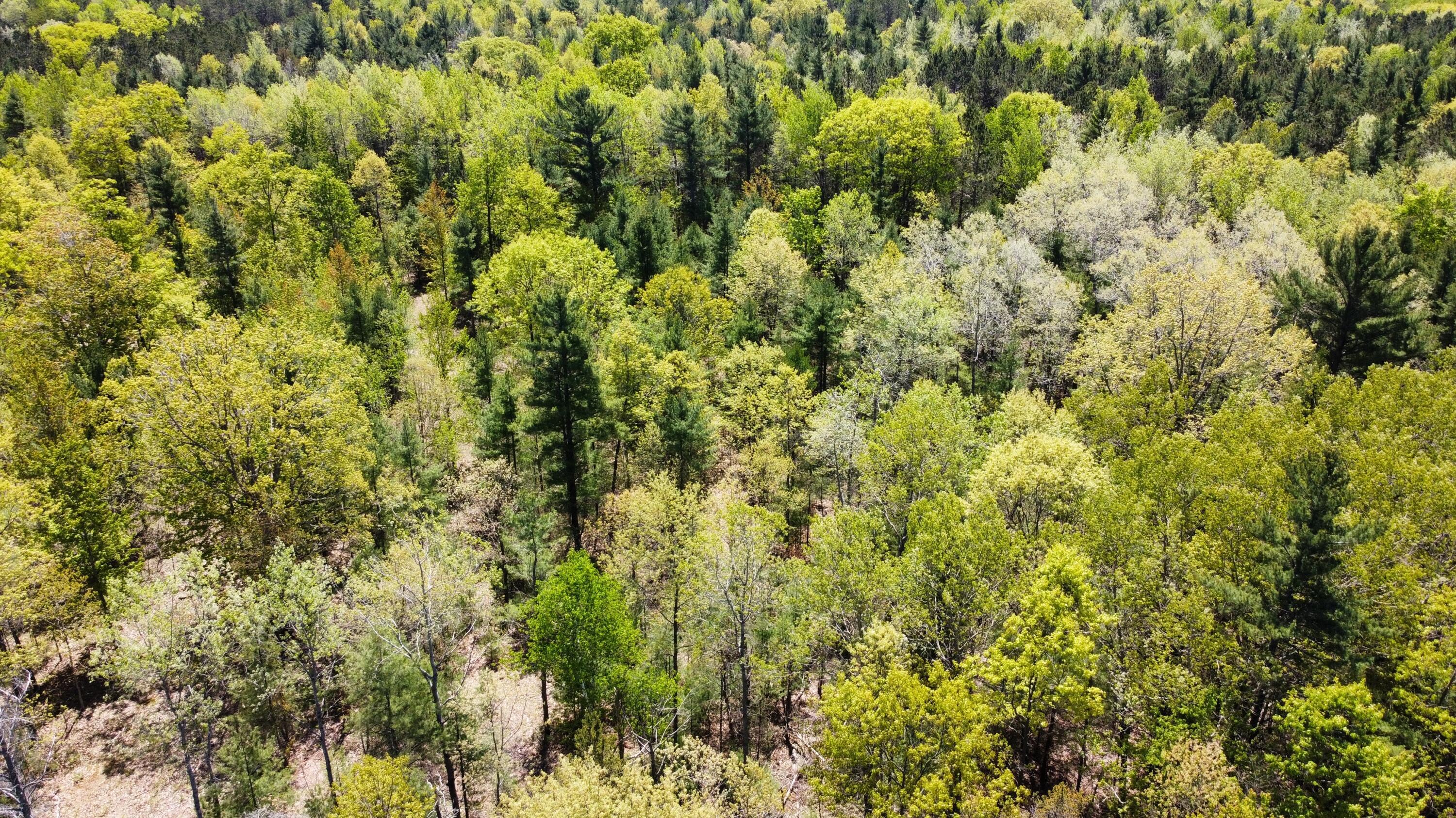 Image 4: dji_fly_20230526_131710_141_168512182205