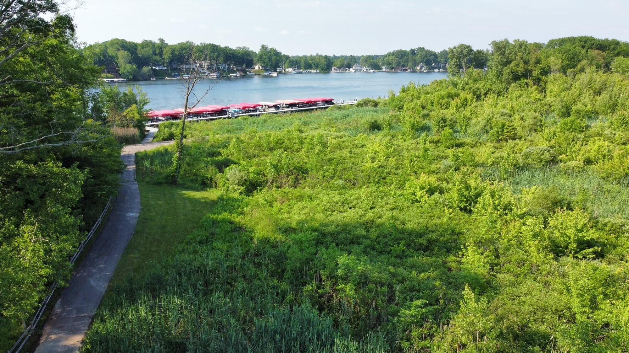 Image 4: Trail to Paw Paw Lake