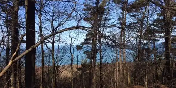 Sable Point Drive