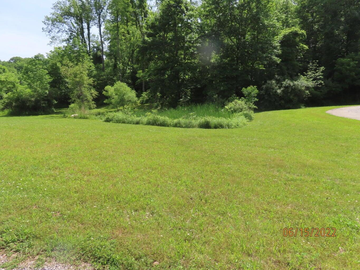 Image 3: Land