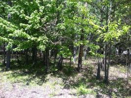 6833 Beechnut Ridge