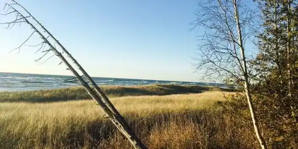 3 A Scenic Drive
