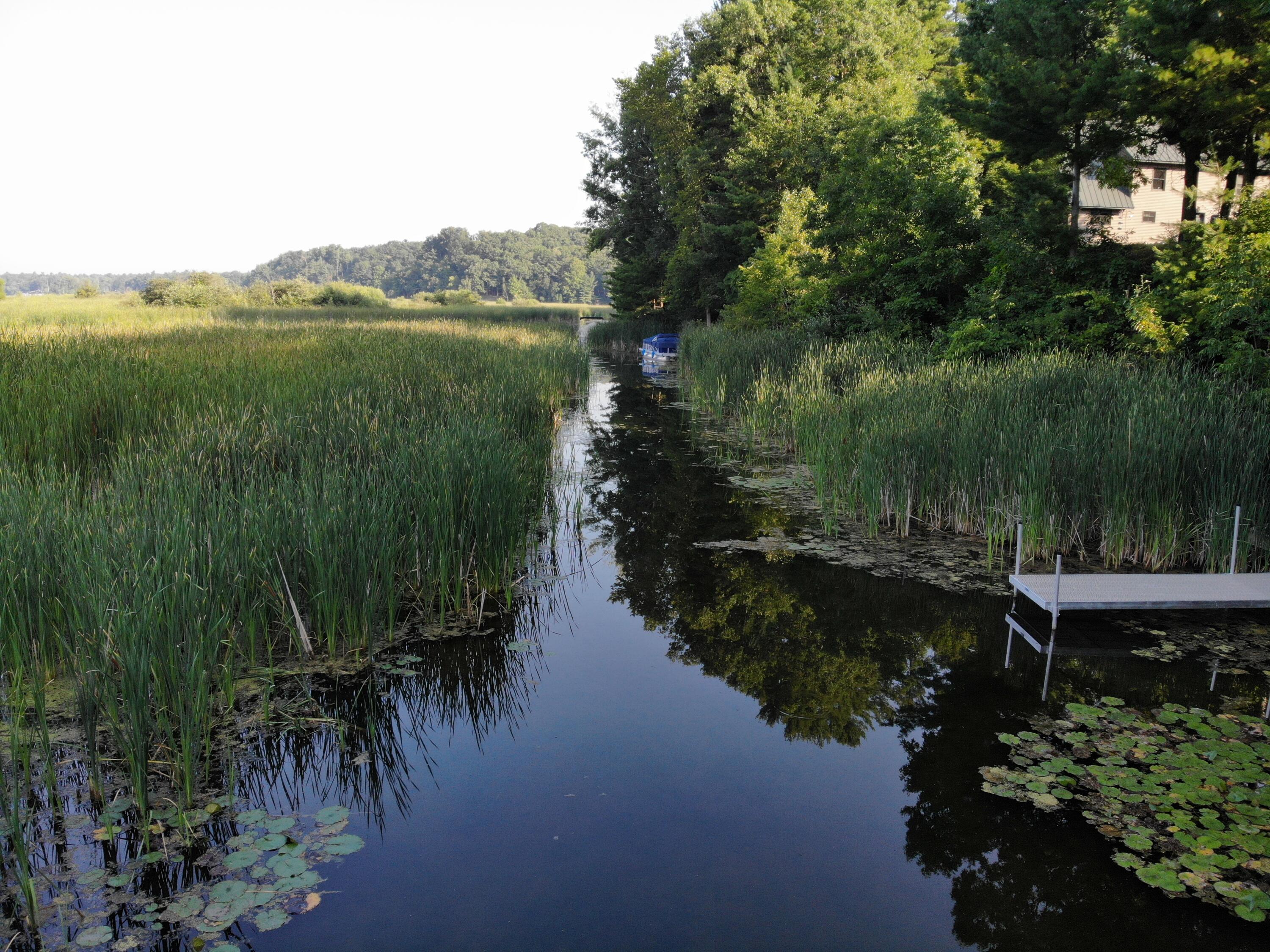 Image 3: Dock Area2