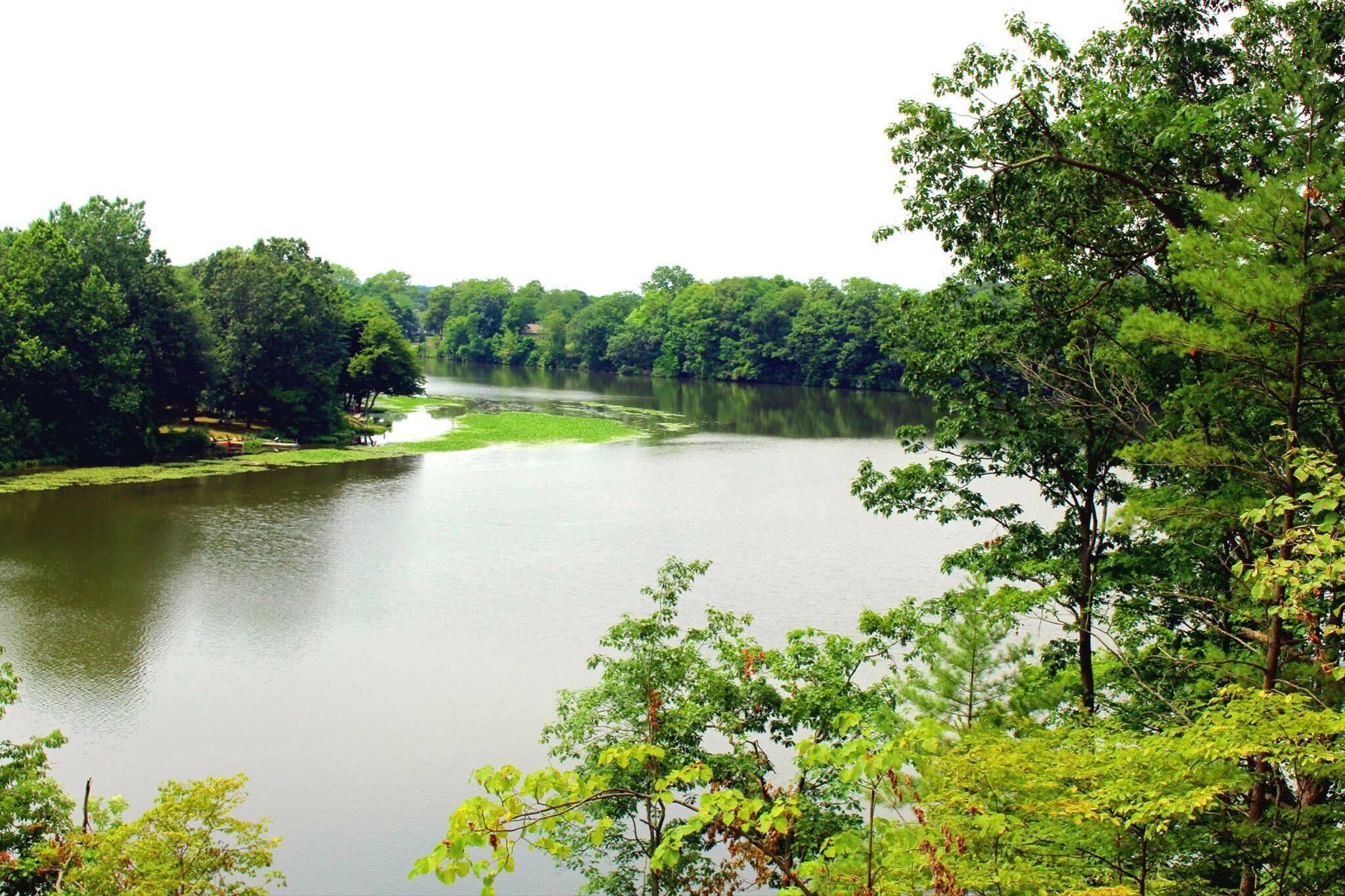 Image 4: The river is calling!