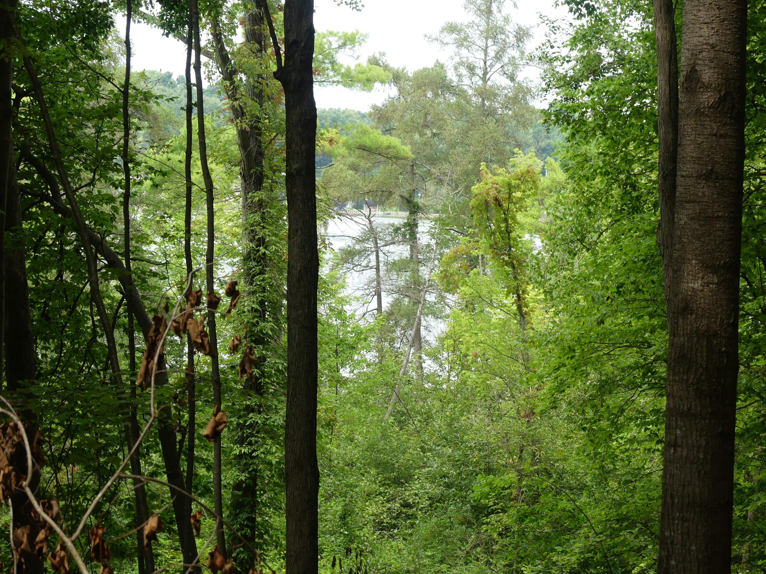 Image 3: P1190802