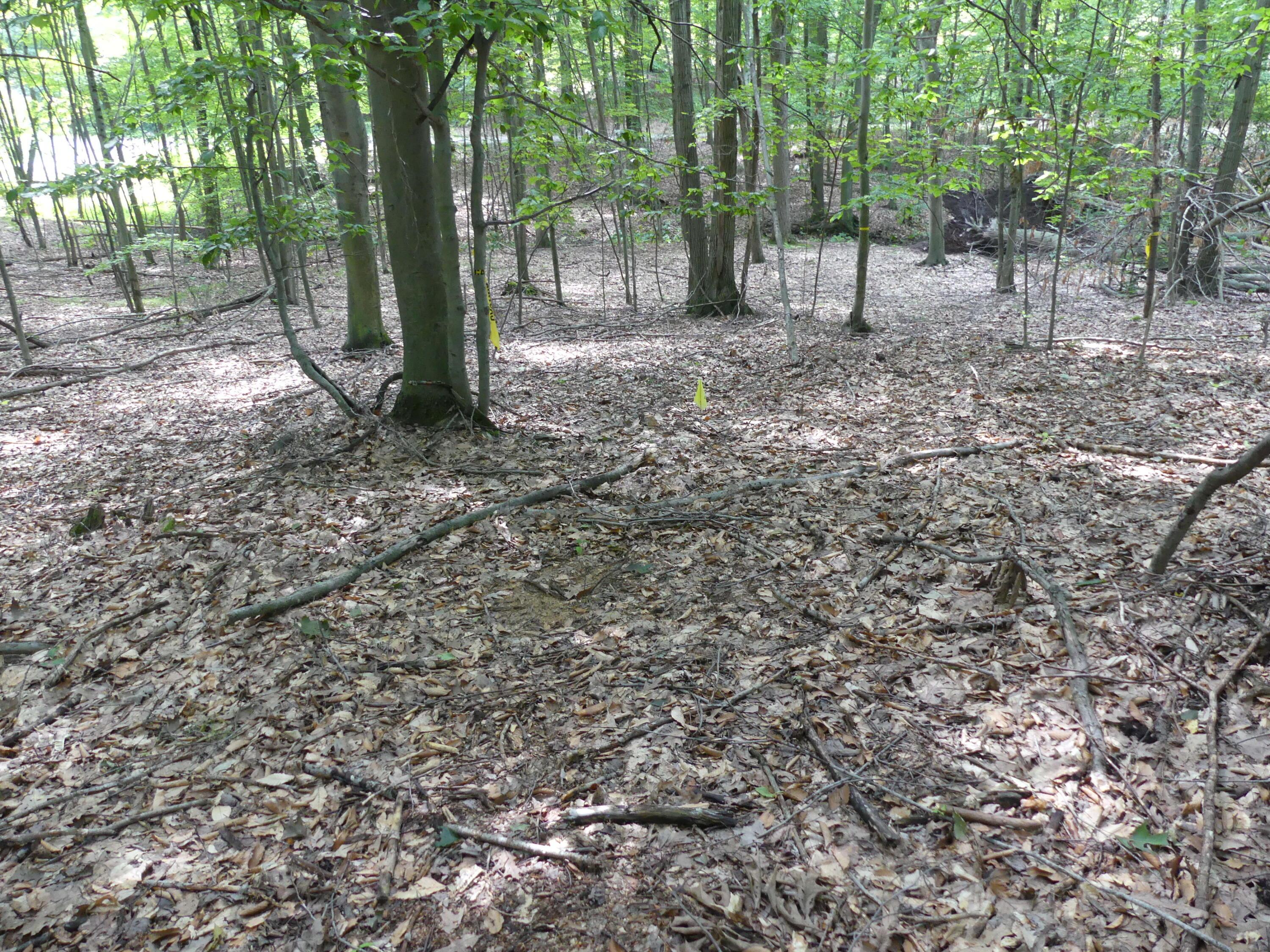 Image 4: P1190803