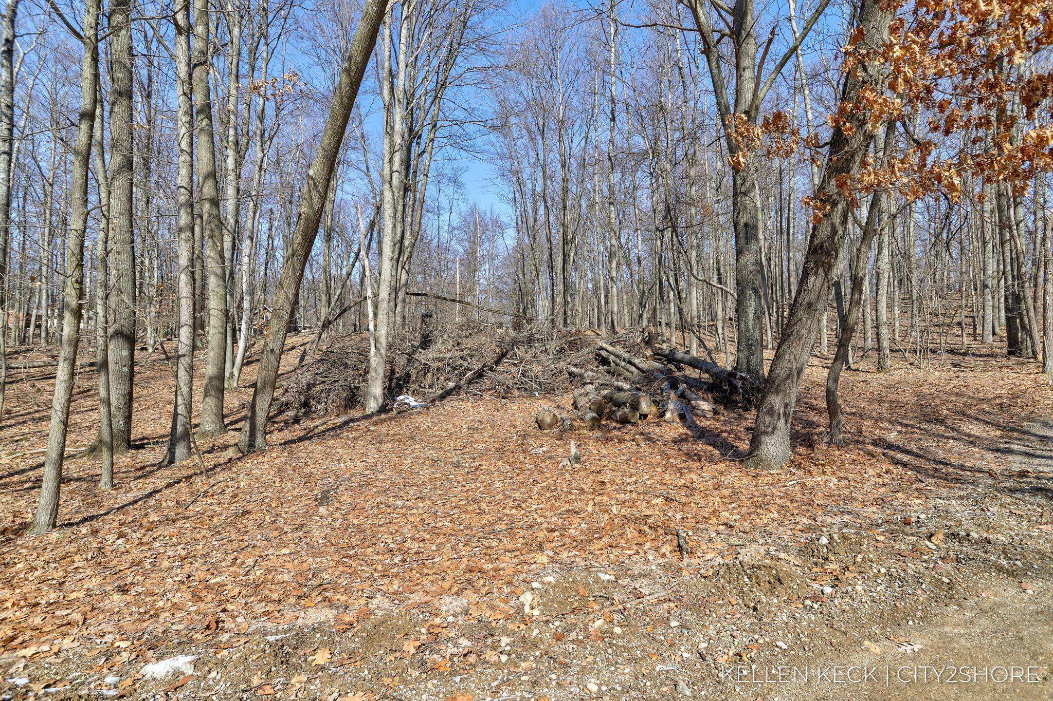 Image 2: 29-web-or-mls-11300-apache-wells-ct