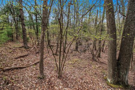N Silver Ridge Road