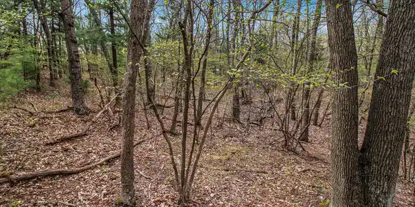 N Silver Ridge Road