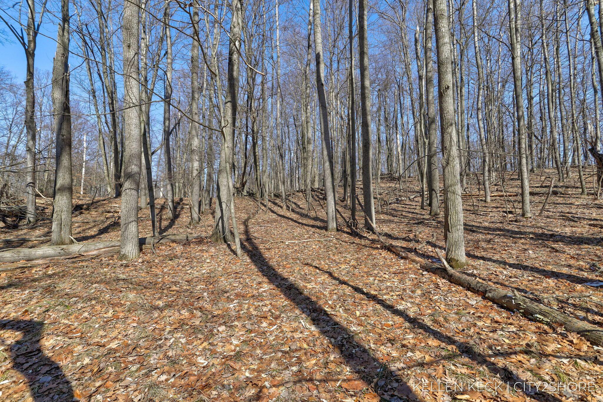 Image 2: 31-web-or-mls-11300-apache-wells-ct