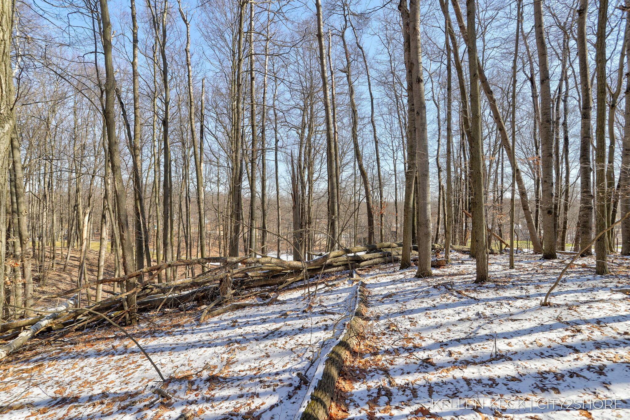 Image 3: 33-web-or-mls-11300-apache-wells-ct