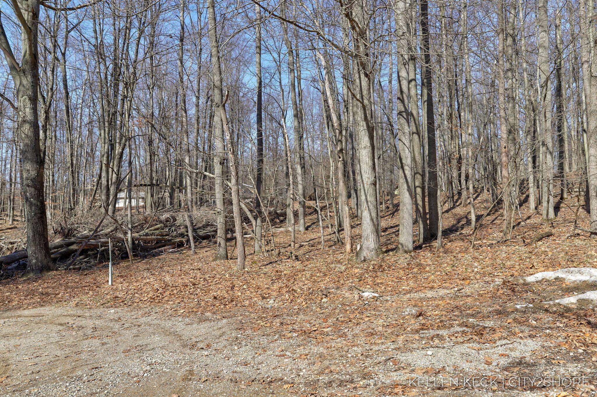 Image 2: 30-web-or-mls-11300-apache-wells-ct